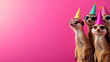 © Panupan - Whimsical meerkats wearing colorful party hats and sunglasses celebrate joyfully against vibrant pink background, creating fun and lively atmosphere