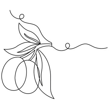 Olive icon  continuous one line drawing  outline vector illustration