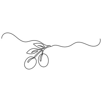 Olive icon  continuous one line drawing  outline vector illustration