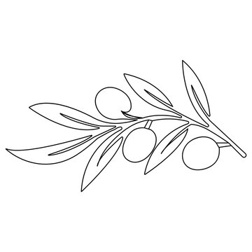 Olive icon  continuous one line drawing  outline vector illustration