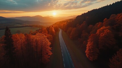 Poster - Aerial view of a winding road through an autumn forest at sunset.