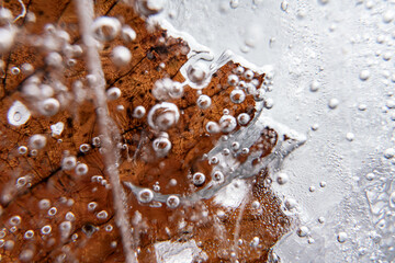 Poster - Close up macro shot of a frozen leaf in an ice block - for computer graphics, texturing, compositing or as a background