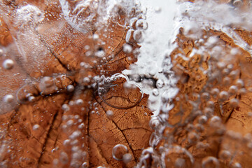 Poster - Close up macro shot of a frozen leaf in an ice block - for computer graphics, texturing, compositing or as a background
