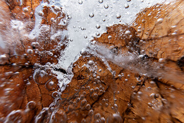 Poster - Close up macro shot of a frozen leaf in an ice block - for computer graphics, texturing, compositing or as a background