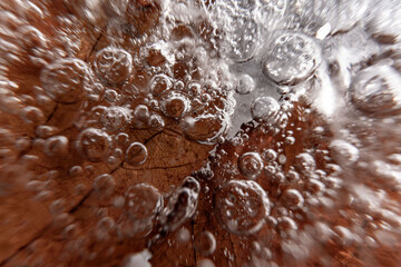 Poster - Close up macro shot of a frozen leaf in an ice block - for computer graphics, texturing, compositing or as a background