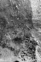 Poster - Close up macro shot of ice surface - texture for computer graphics, texturing, compositing or as a background