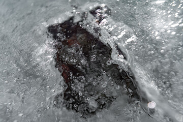 Poster - Close up macro shot of a frozen leaf in an ice block - for computer graphics, texturing, compositing or as a background