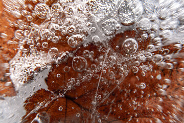 Poster - Close up macro shot of a frozen leaf in an ice block - for computer graphics, texturing, compositing or as a background