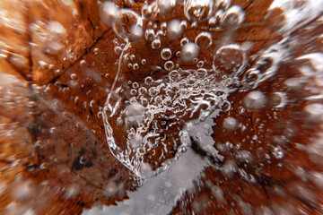 Poster - Close up macro shot of a frozen leaf in an ice block - for computer graphics, texturing, compositing or as a background