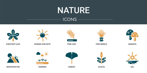 Wall Mural - set of 10 outline web nature icons such as chestnut leaf, shining sun with rays, pine leaf, pine nee