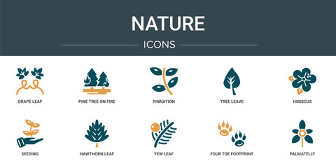 Poster - set of 10 outline web nature icons such as grape leaf, pine tree on fire, pinnation, tree leave, hibiscus, seeding, hawthorn leaf vector icons for report, presentation, diagram, web design, mobile
