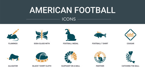 Poster - set of 10 outline web american football icons such as flamingo, soda glass with a straw, football me