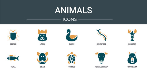 Poster - set of 10 outline web animals icons such as beetle, lama, swan, centipede, lobster, tuna, boar vecto