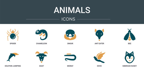 Poster - set of 10 outline web animals icons such as spider, chameleon, snigir, ant eater, bee, dolphin jumpi