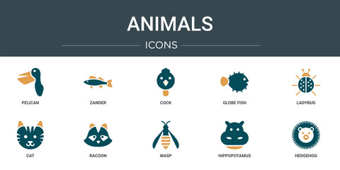 Poster - set of 10 outline web animals icons such as pelican, zander, cock, globe fish, ladybug, cat, racoon 