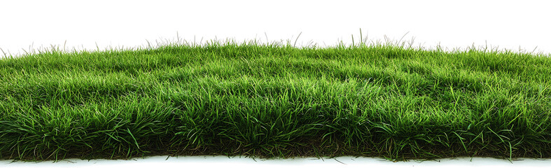 Isolated green grass field on a transparent background. PNG