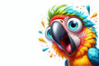 © Igor - funny Parrot with surprised face bright image, isolated on white background copy space