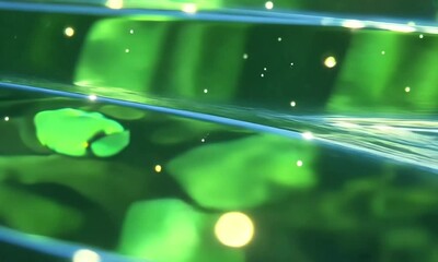 Poster - Floating leaves and shimmering reflections create a serene nature experience by the water during a sunny afternoon