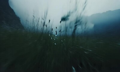 Wall Mural - flying across the vast mountain meadows