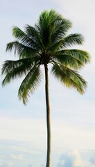 Wall Mural - A striking image of a single tall palm tree surrounded by lush green foliage, evoking beach vibes