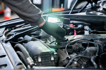 Poster - Serviceman checks the oil level in a car engine