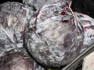 Freshly harvested purple cabbage displayed in a market setting showcasing vibrant colors and textures, emphasizing healthy eating concept