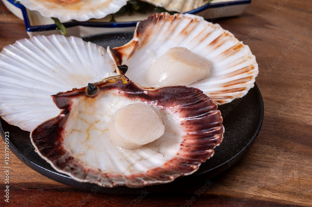 Atlantic bay scallops coquille St. James sea shells, opened in ...