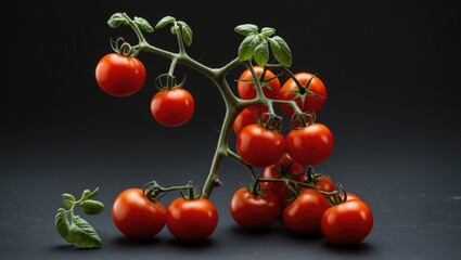 Aufkleber - Macro shot of a vibrant red tomato branch displayed against a dark background, highlighting the freshness and natural beauty of vegetables.