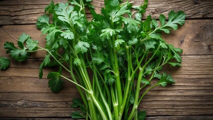 Wall Mural - Fresh Coriander Bunch on Rustic Wooden Table Ideal for Culinary Use or Food Photography