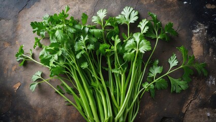 Wall Mural - Fresh and vibrant coriander leaves arranged on a rustic surface showcasing its lush green color and distinct leaf shape.