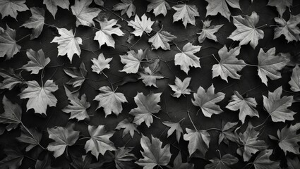 Poster - Black and white textured background of autumn leaves creating a natural and artistic design for various creative projects.