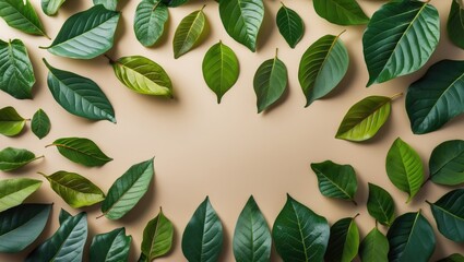 Poster - Diverse Assorted Green Leaves Displayed on Soft Cream Background for Natural and Botanical Themes