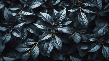 Poster - Dark Green Leaves Textured Background for Nature and Botanical Inspired Design