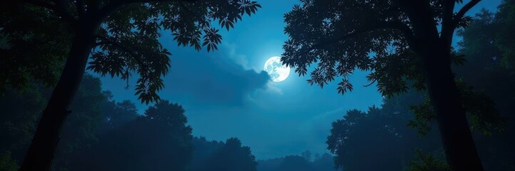 Wall Mural - dense foliage obstructs moonlight filtering through canopy, branches, atmosphere, mist