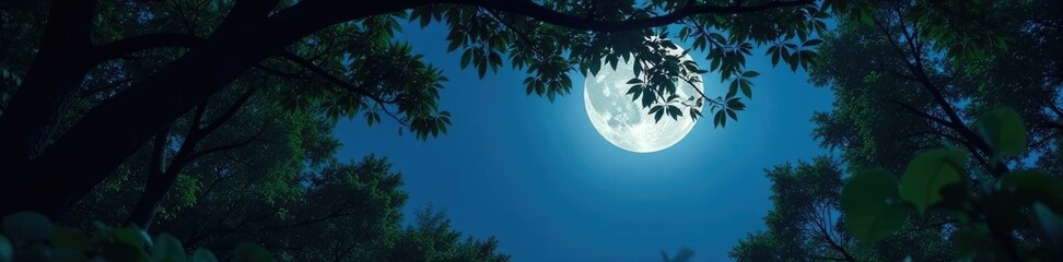 Wall Mural - dense foliage obstructs moonlight filtering through canopy, vegetation, atmosphere, leaves