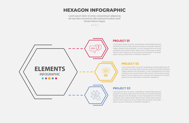 Leinwandbilder - hexagon or hexagonal base shape infographic outline style with 3 point template with big hexagon on 