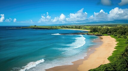 Poster - View of the ocean and beach from above with scenic beauty