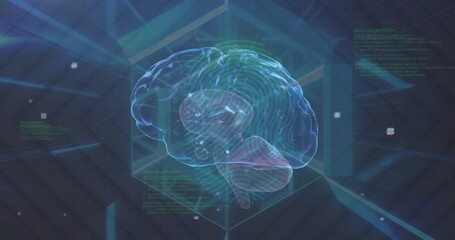 Poster - Image of data processing and rotating brain in tunnel on dark background