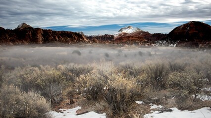 Wall Mural - Misty Desert Landscape in Zion National Park