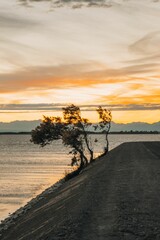 Wall Mural - Sunset over a tranquil lakeside path