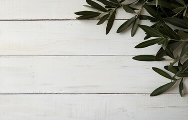 Fototapete - A rustic white wooden background features eucalyptus branches and leaves, with a minimal eucalyptus arrangement on a white board, presented in a flat lay and top view with copy space