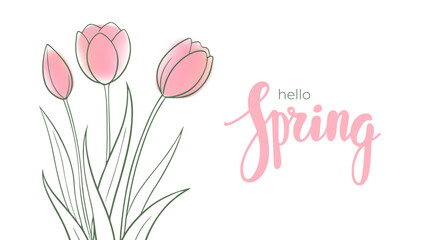 Fototapete - Hello Spring. Hand lettering and spring tulips for Springtime season greetings and and invitations. Vector illustration.