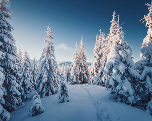 Aufkleber - Scenic image of snowy fir trees on a frosty day after a heavy snowfall.