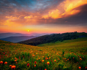 Wall Mural - The sun sets behind the mountain ranges. Carpathian mountains, Ukraine, Europe.