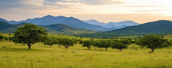 Poster - Earth day environmental idea. A serene natural landscape showcasing green fields and distant mountains under a soft sky.