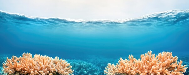 Poster - Ocean acidification idea. Vibrant coral reef beneath the crystal-clear ocean water showcasing marine life.