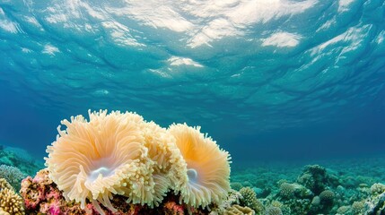 Poster - Ocean acidification idea. Vibrant underwater scene showcasing beautiful coral and marine life.
