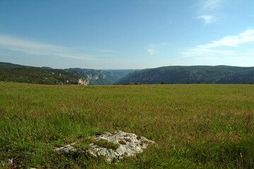 Wall Mural - Gorges du Tarn, Parc naturel régional des grands causses, 48, Lozère, Région Languedoc-Roussillon, France