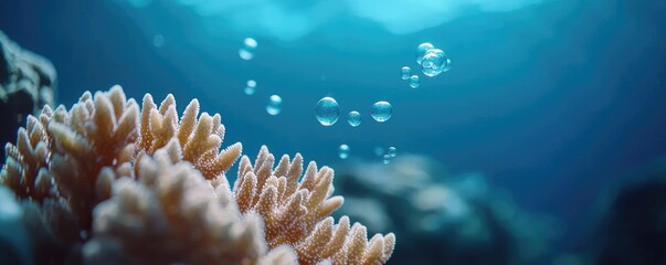 Poster - Ocean acidification concept. A vibrant underwater scene showcasing coral and bubbles in clear blue water.