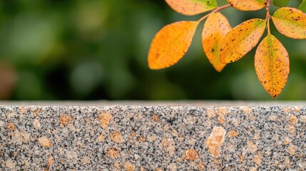 Poster - Weathering process concept. Autumn leaves contrast with a textured stone surface, creating a seasonal atmosphere.